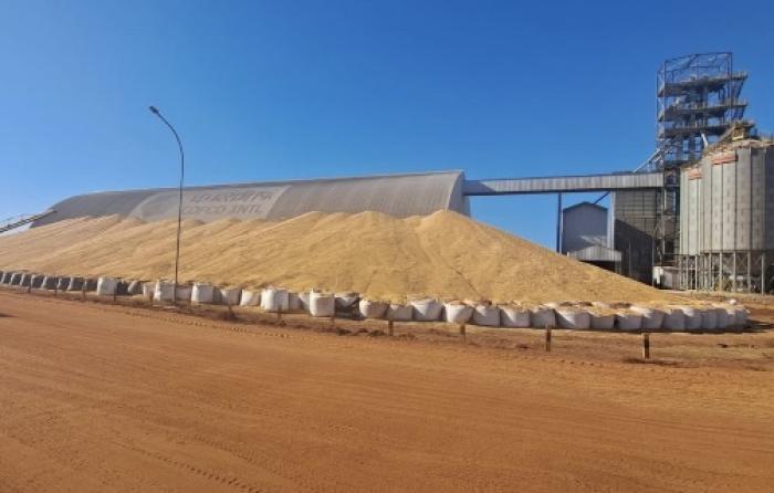 SAFRA DE MILHO 2025 BATE RECORDE, MAS FALTA DE ARMAZENAGEM DESAFIA PRODUTORES