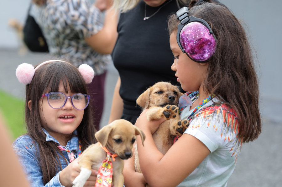 Programa com pets auxilia terapia de pessoas com deficiência