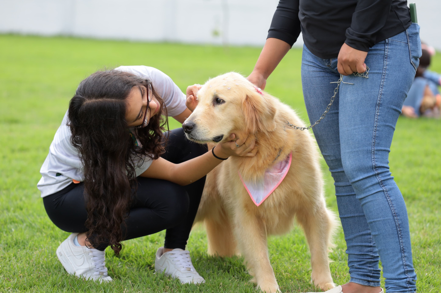 Aparecida promove 1º Mutirão da Inclusão para PcDs e TEA