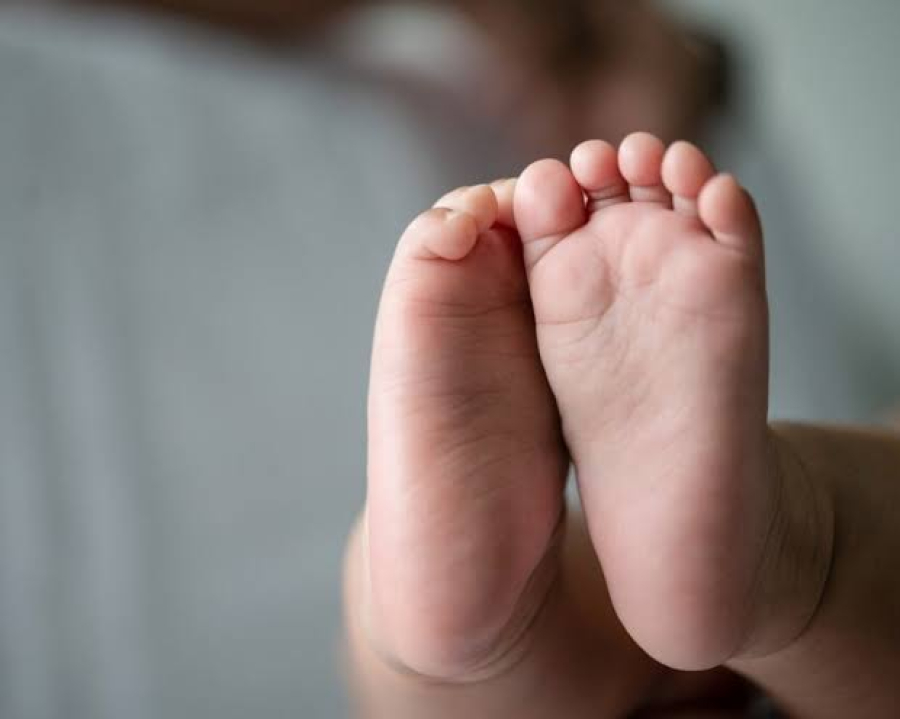 Casal se passa por conselheiros tutelares e tenta sequestrar bebê dos braços da mãe em Jaraguá