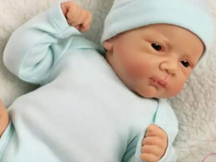 Projeto prevê multa de R$ 30 mil para quem usar bebê reborn para furar fila