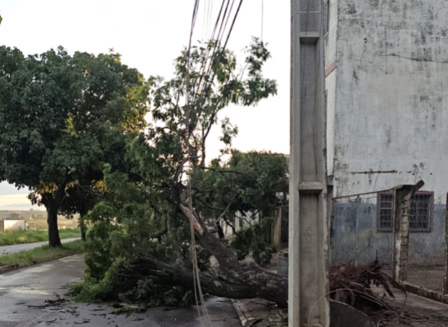 Chuvas fortes com ventos e raios podem danificar rede elétrica em Goiás