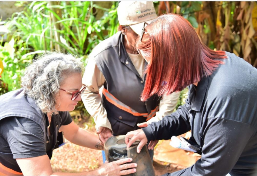 Dia D de Combate à Dengue mobiliza o Setor Colina Azul neste sábado