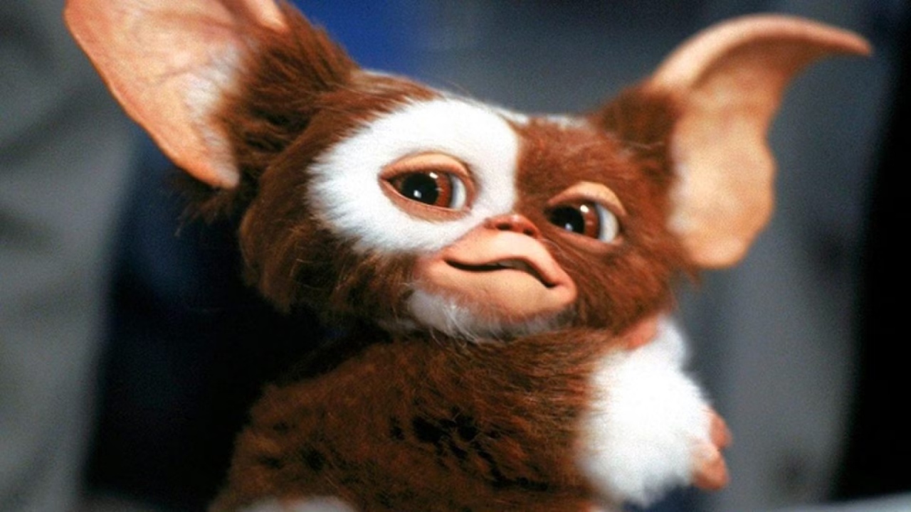 Gremlins 3 | Warner confirma desenvolvimento e data de estreia do novo filme