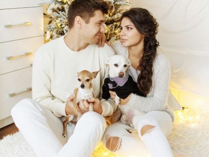 Estudo aponta que tutores evitam se relacionar com quem não gosta de pets