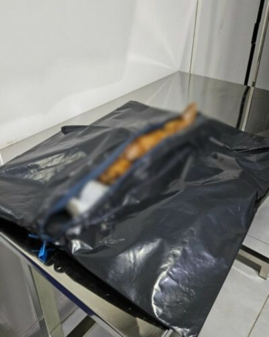 Polícia Civil prende homem por maus-tratos a animal em Goiânia