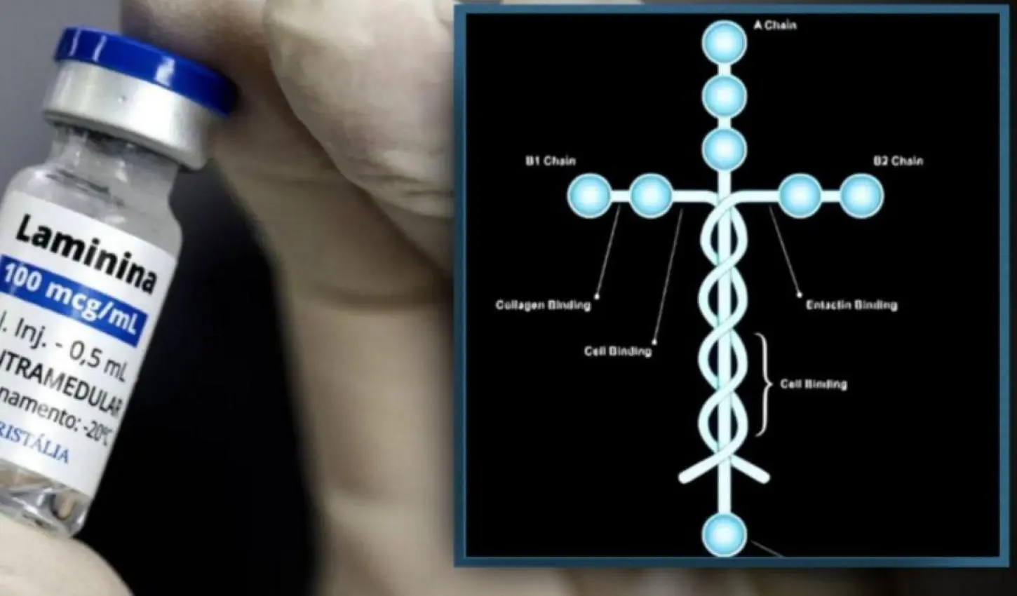 Polilaminina em forma de cruz é esperança contra a tetraplegia