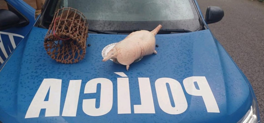 Polícia prende em Aparecida membro de grupo ilegal por caça de tatu