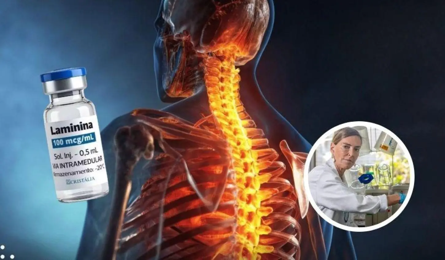 Polilaminina: como a ciência testa e aprova novos medicamentos?